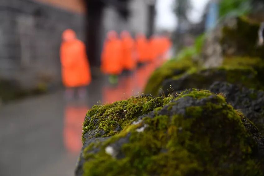 正觉正念是什么意思_正念是什么意思_正念 此刻是一枝花