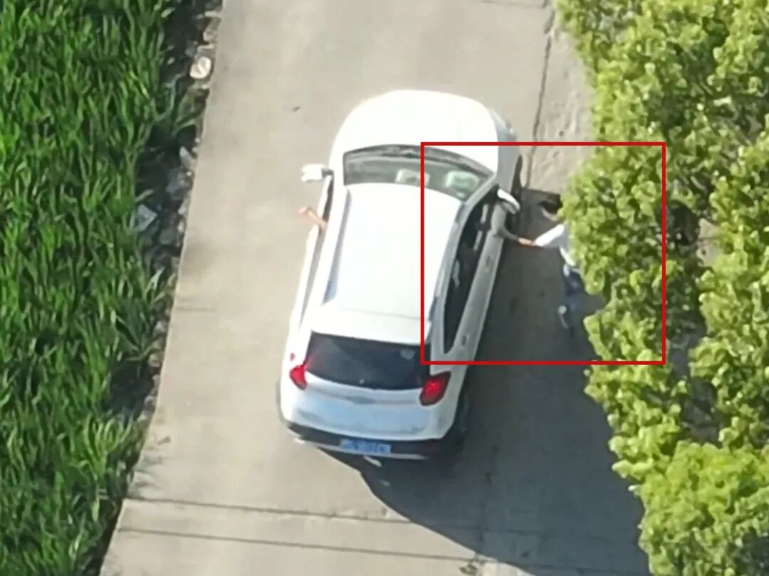 浙江反诈抓捕现场堪比大片