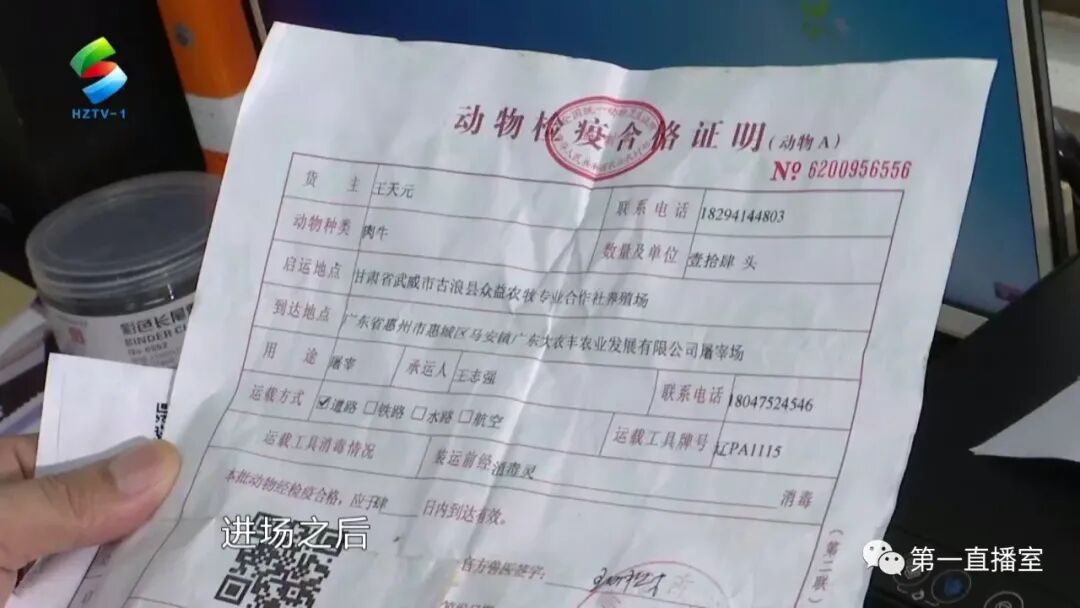 惠城区牛羊集中屠宰管理层层检测确保放心肉