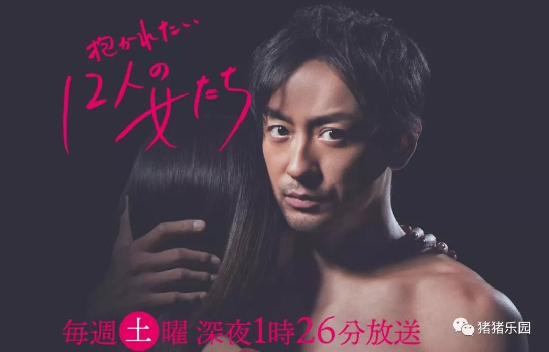 山本耕史 猪猪乐园 抖音文案