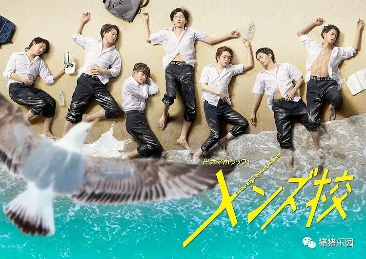 型男高中 猪猪乐园 致富新闻