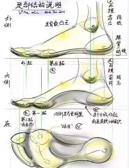 今天带大家聊聊足踝 针刀医学继教部 微信公众号文章阅读 Wemp