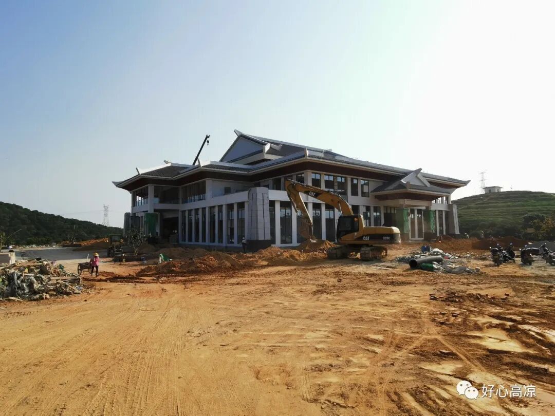 卢巧智调研高州根子镇荔枝产业发展_高州市人民政府公众网