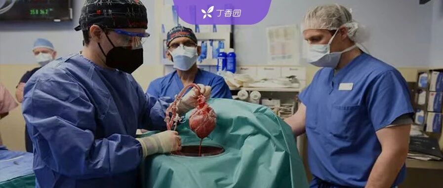 全球首例猪心移植患者 2 个月后死亡