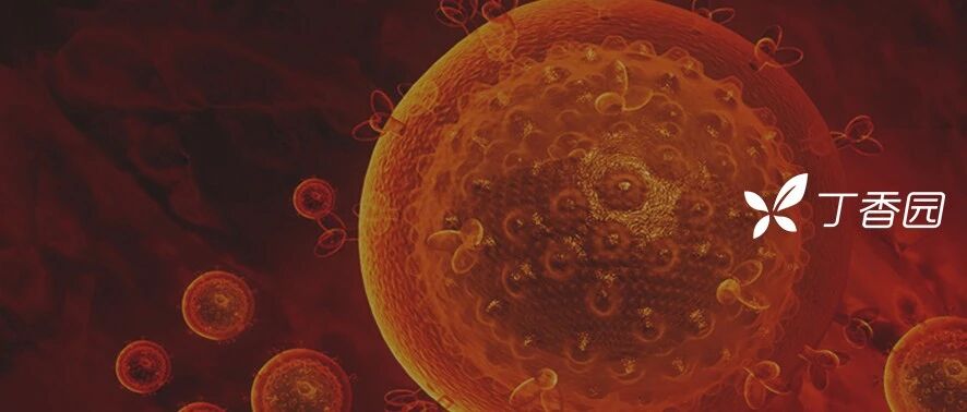 Science 重磅报道！世界首例药物治疗痊愈的 HIV 患者或将出现？