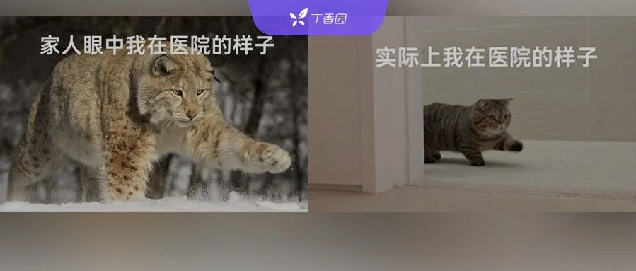 2024-02-09药事资讯