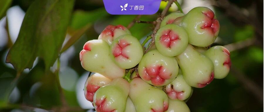 2024-02-11药事资讯