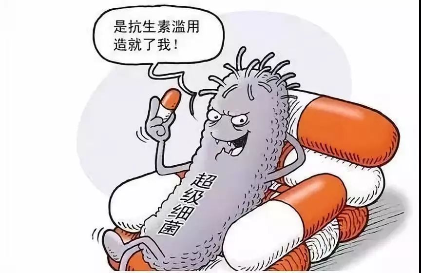 延禧攻略：高貴妃究竟死於哪種細菌感染？ 健康 第10張