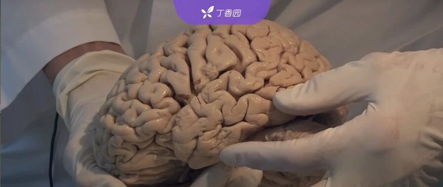 新冠会引起脑萎缩？Nature 最新研究到底怎么解读？