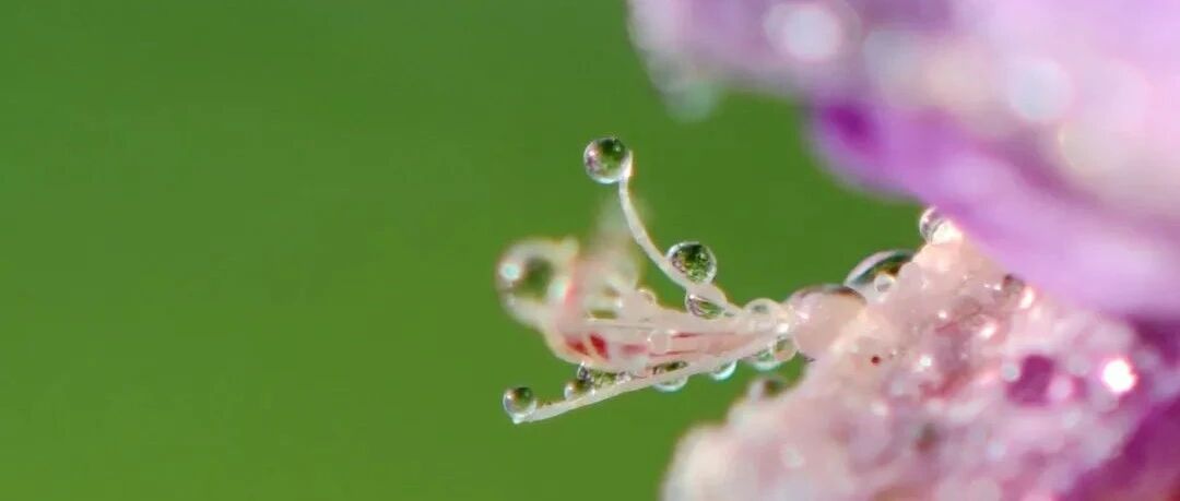 夜读：最好的爱，是我需要的时候你都在
