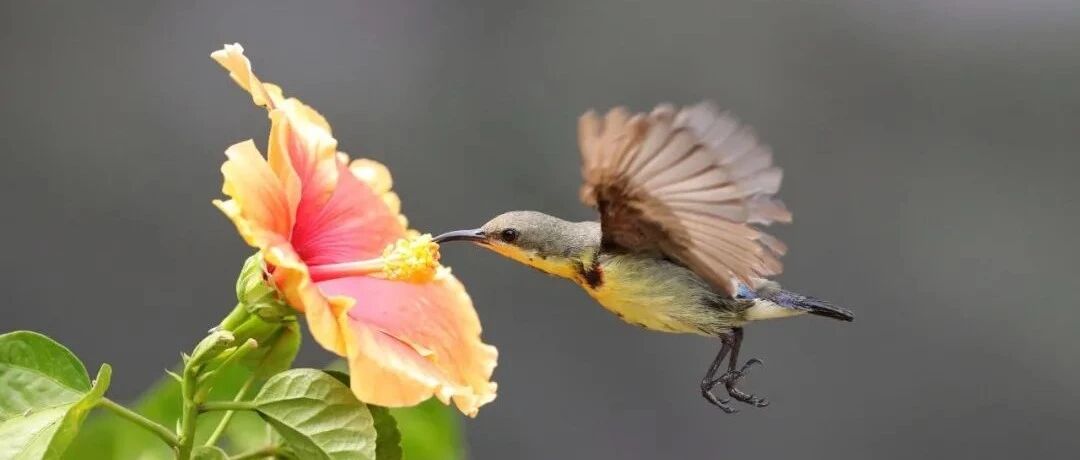 夜读：解决问题最高明的方法，就两个字！