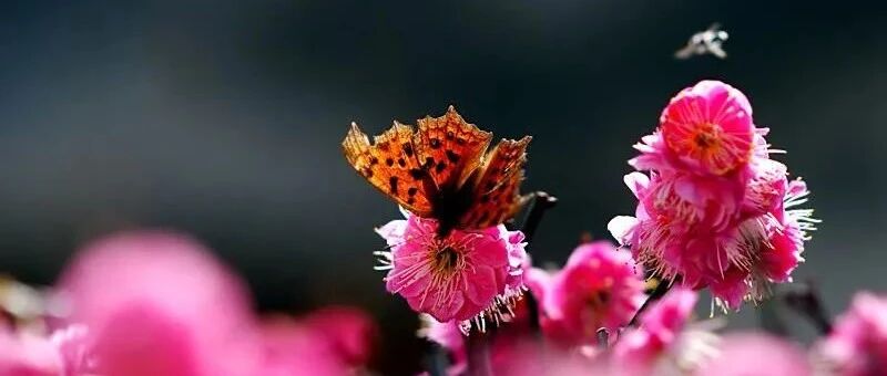 夜读：欣赏别人，是一种境界