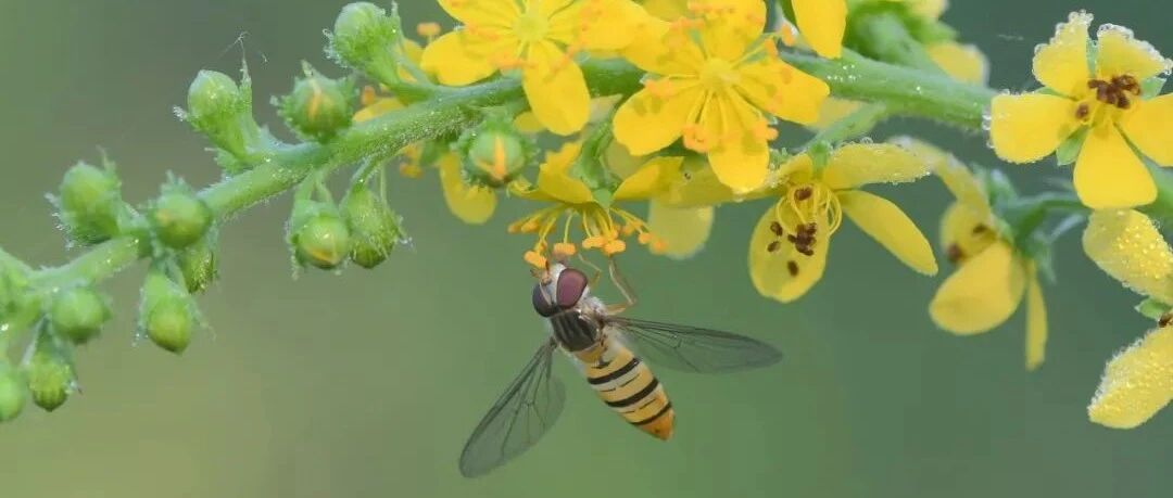 夜读：不生气=不生病