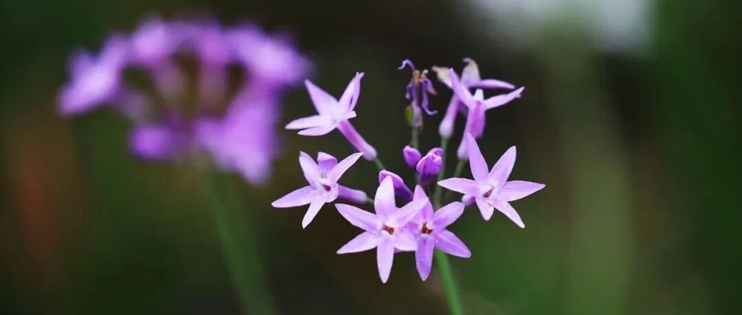 夜读：自省的力量