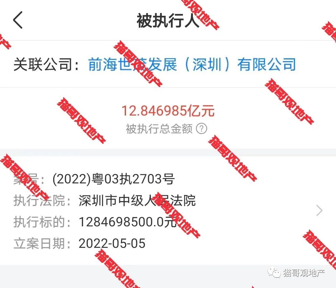 行，根据天眼查显示，世茂集团近期有多笔超大金额的强制执行案子发生：