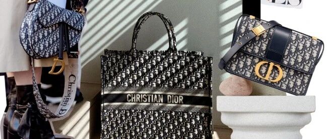 DIOR又出双重标志新款美包，下一个爆款就是它！