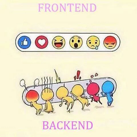 你是前端开发还是后端开发？