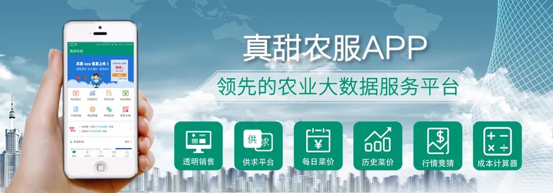 致富创业项目在家开厂_致富经创业_致富创业好项目