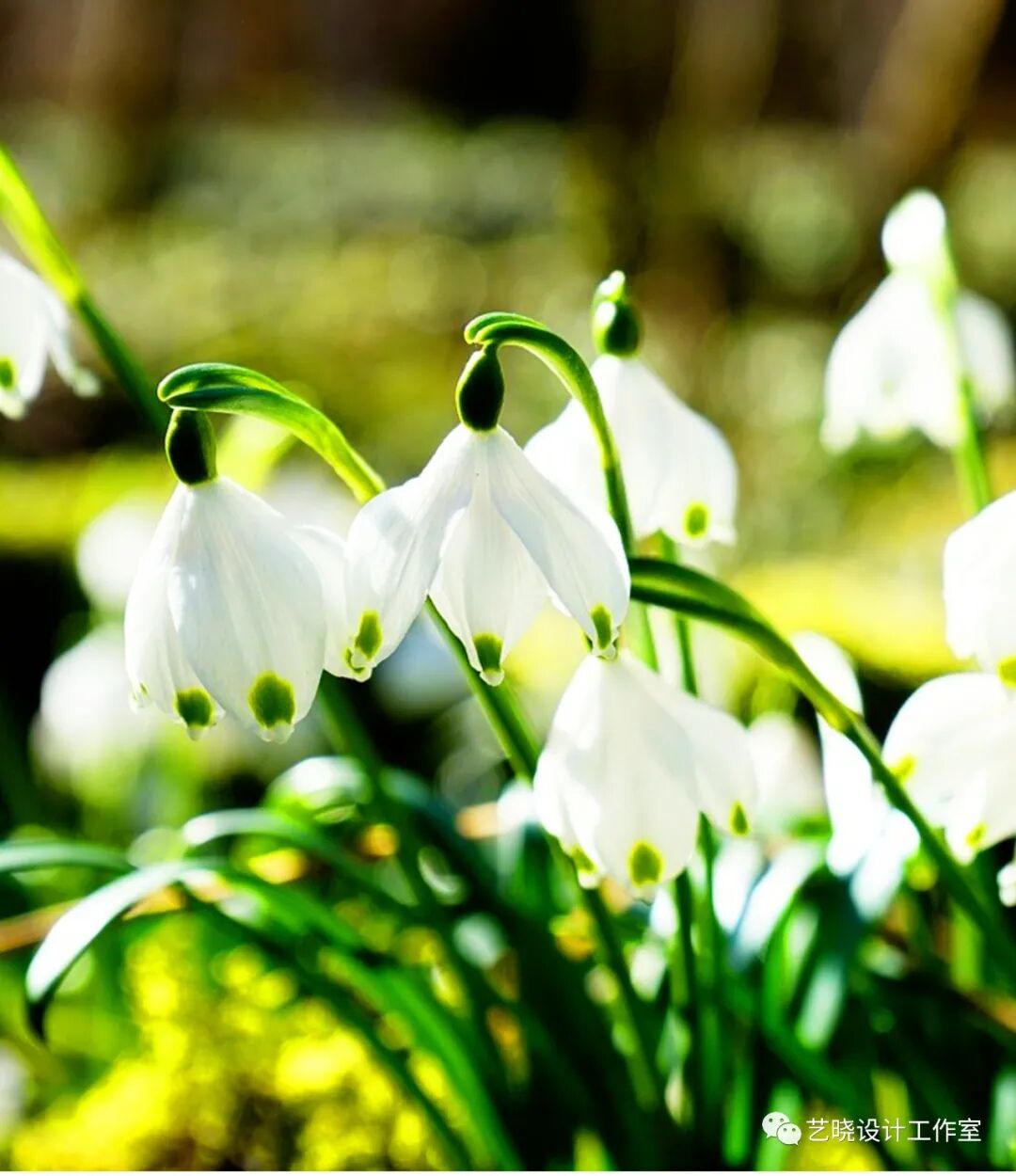 资源共享：PS教程经典案例1000例（部分案例）【03期】