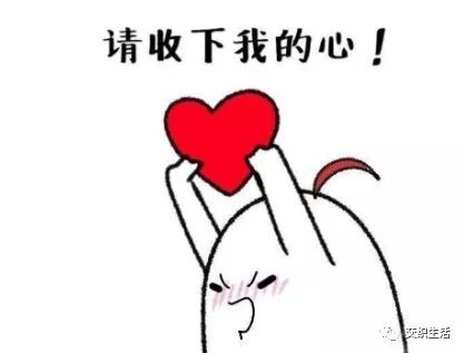 今年致富无本创业项目_今年致富零元的创业项目_致富经创业项目种植业