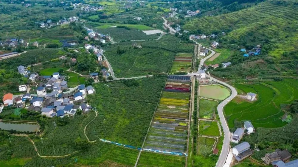 如何打造数字乡村？这些国内外经典案例值得借鉴(图8)