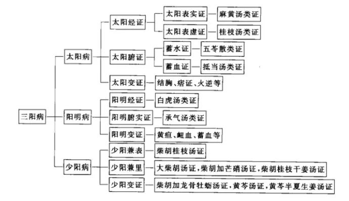 六经辨证提纲辨证运用