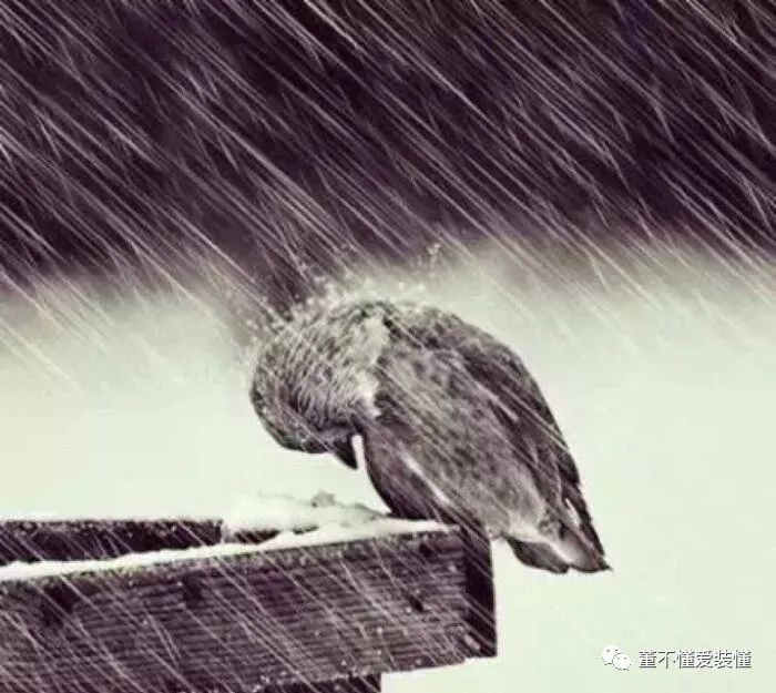 百感交集 - 图看中美关系40年