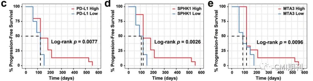 sp管在医学上什么管湘雅医学院刘洪教授在CMI发文，发现SPHK1-MTA3-PD-L1信号轴促进肿瘤免疫逃逸_https://www.jmylbn.com_新闻资讯_第6张