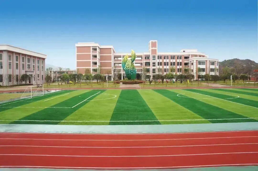 重庆市北碚区热门小学:西大附小全方位介绍,附详细划片范围-校园资讯