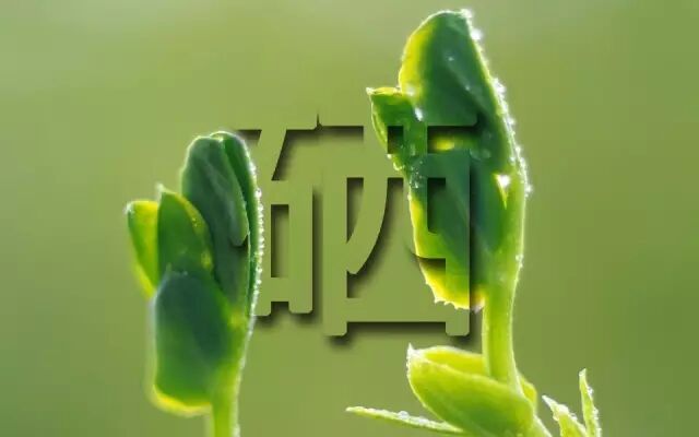 小苗移居图猜成语_看图猜成语(3)