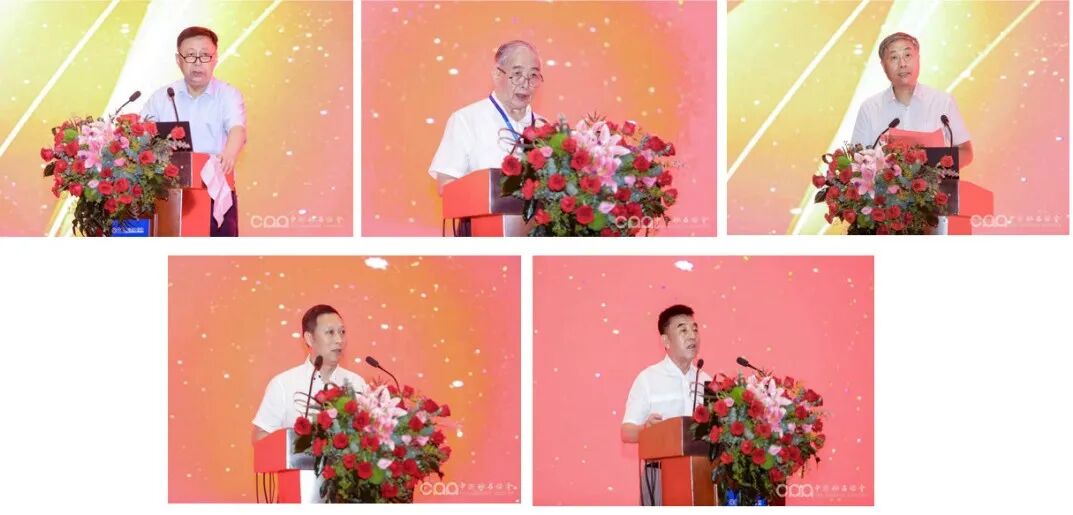 干货满满（最先进砂石骨料生产线）砂石骨料生产，(图6)