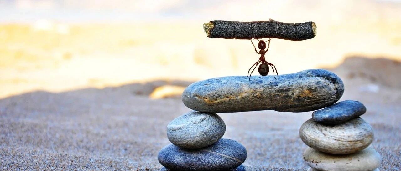 打赌吗？未来十年的中国企业将是这样的