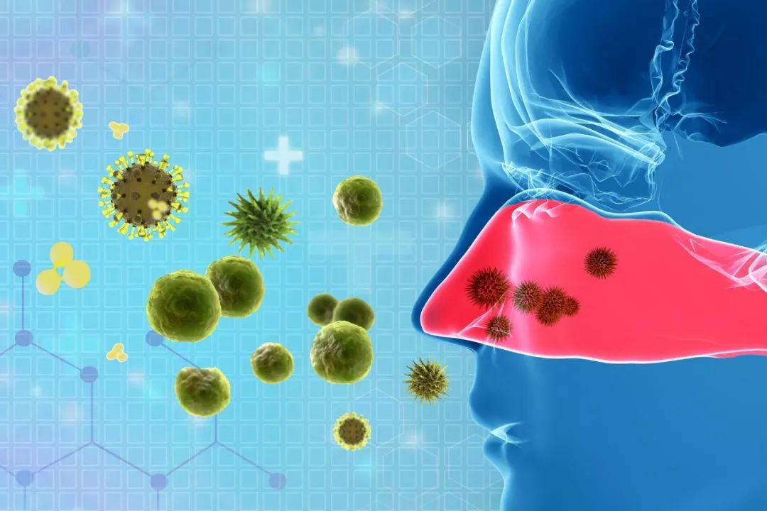 鼻咽癌，廣東人不能承受之重 健康 第8張