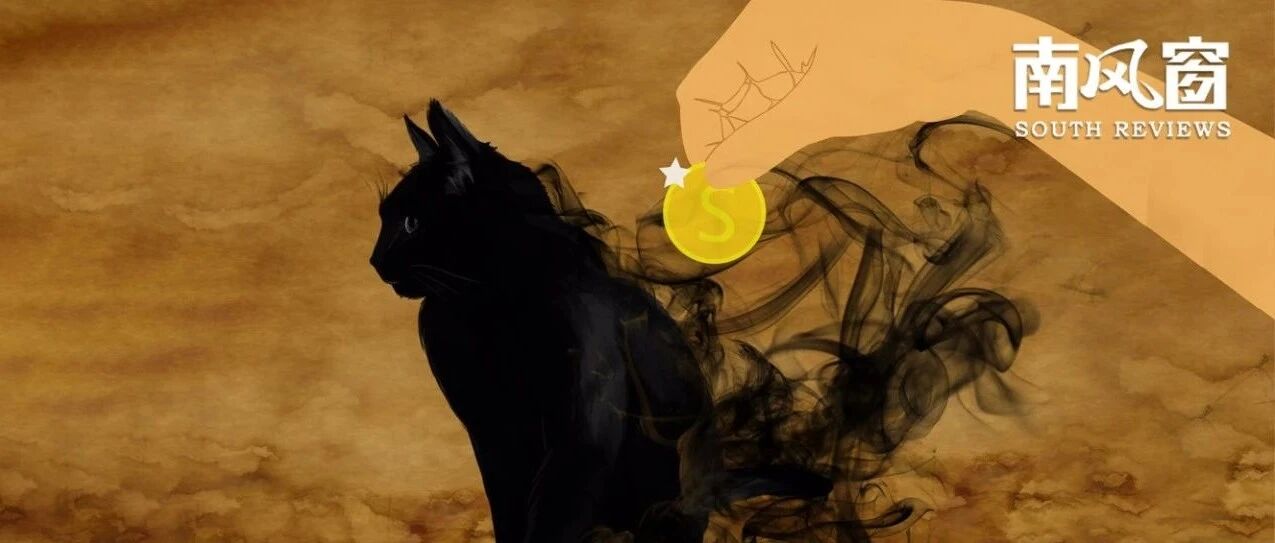 起底“云养猫”，6000多人被骗上亿元