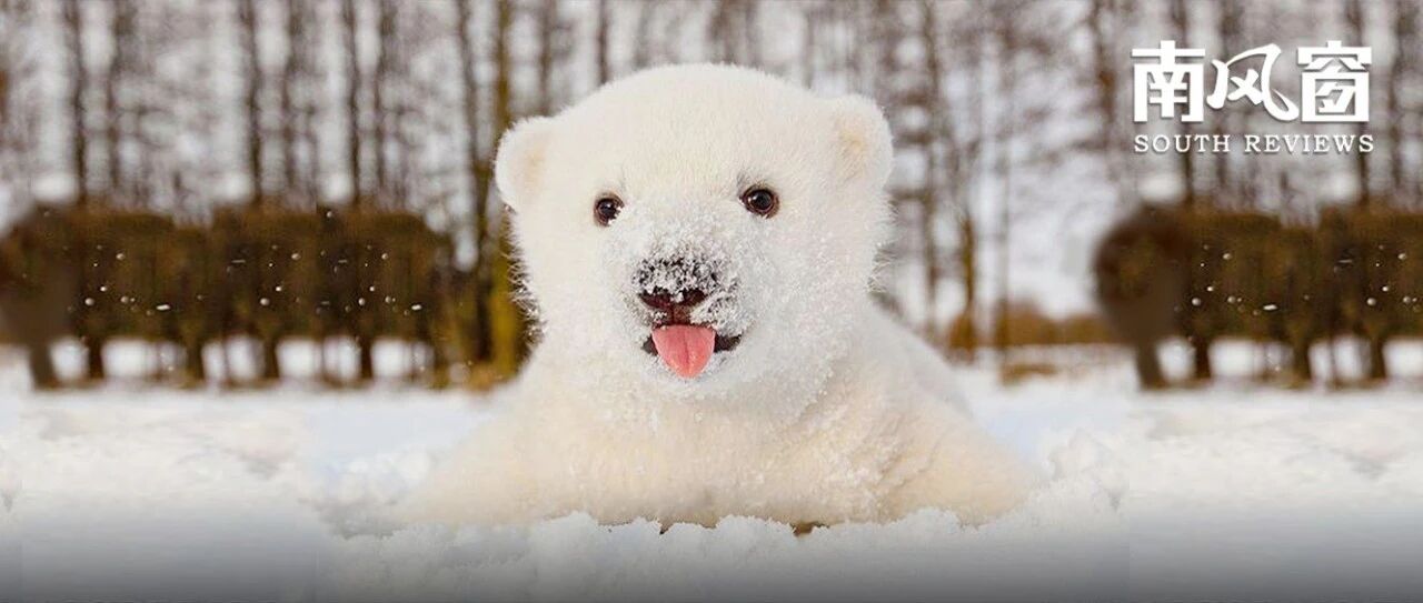 银行在这个领域为何优势明显