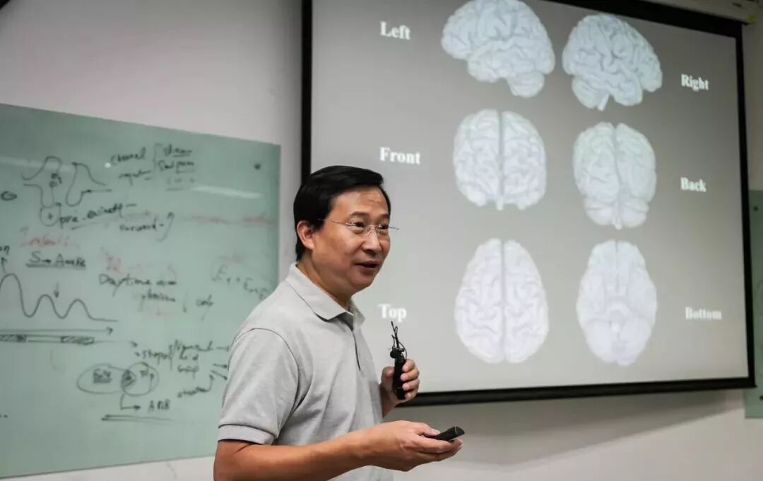 ����ٱ�����ˮ�����ж��