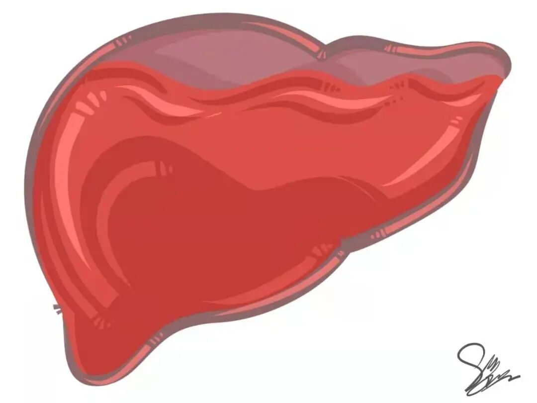 肝藏血,肾藏精,精血同源于水谷精微,且能相互转化资生,故曰:"精血同源