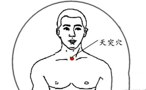 通利气道、降痰宣肺。咳嗽、胸闷、哮喘发作时点按天突穴均可有所缓解。