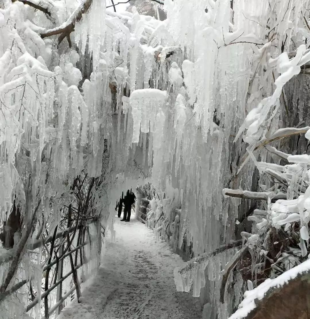 以冰类观赏项目为主,今冬新增戏雪项目.