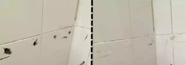 填缝美缝剂的区别_填缝剂美缝剂_填缝剂与美缝剂到底哪个好