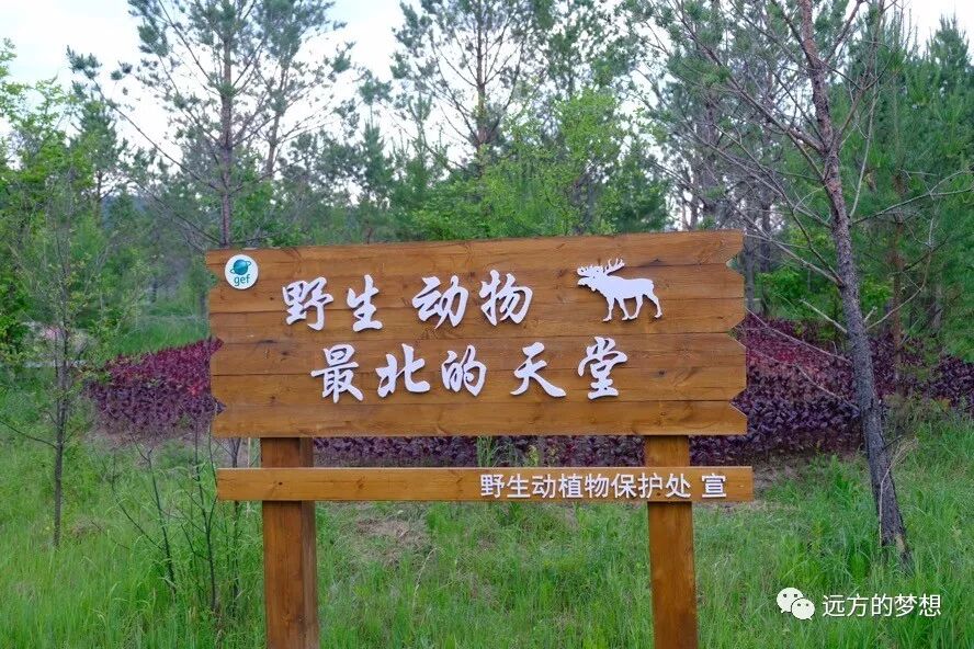 面向南方，拥抱整个中国 - 第5张