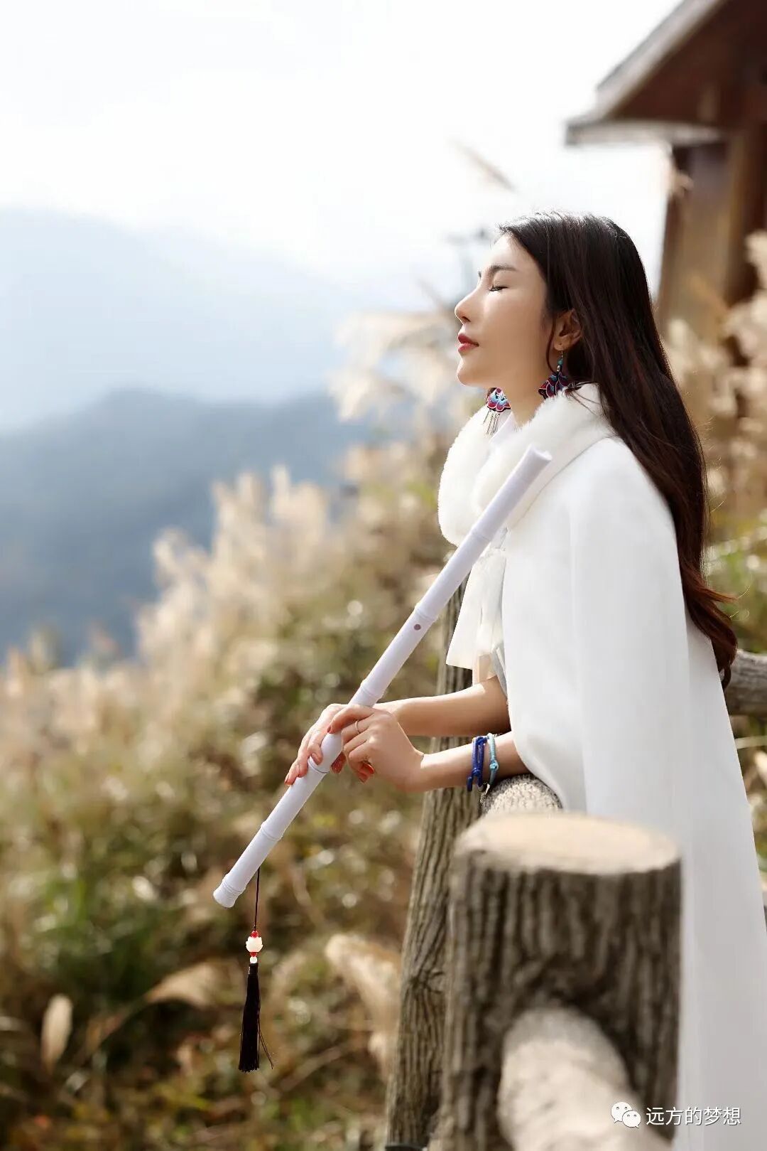 ---VIVI - 第1张