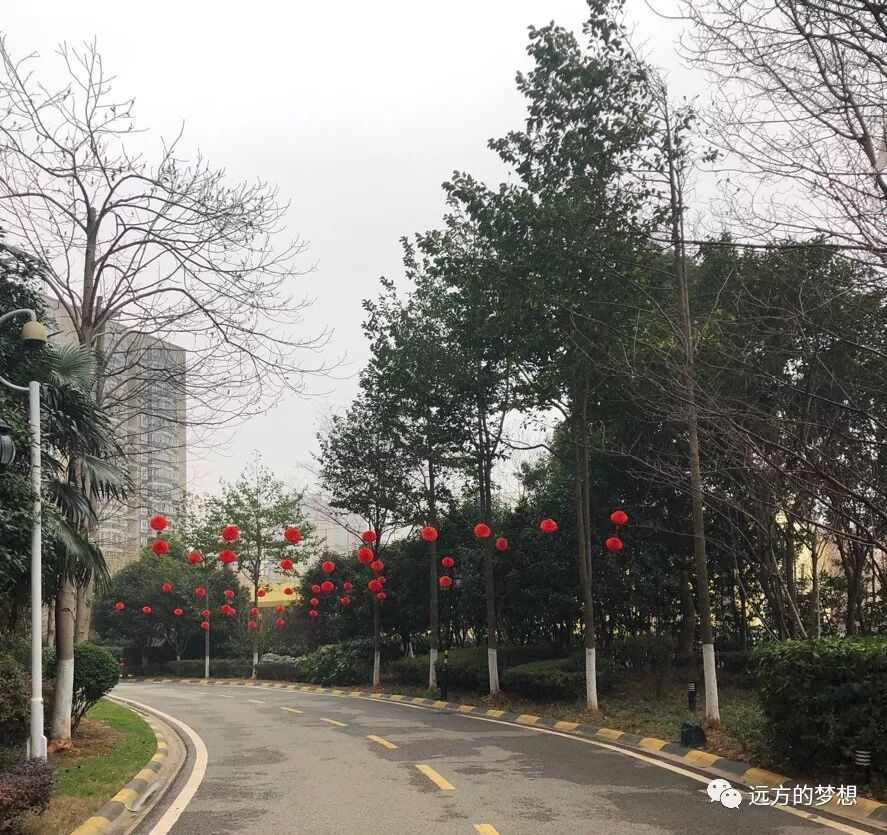 一个封城之下的武汉人，带来真实的武汉 - 第9张