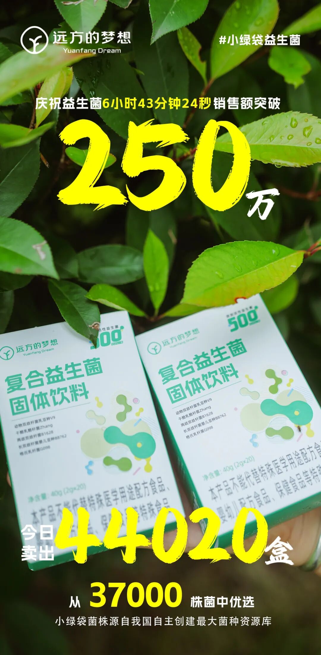你了解真正好益生菌吗？ - 第1张