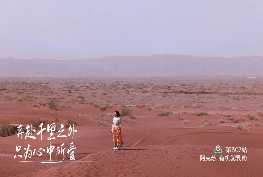 312站中宁站 - 第1张