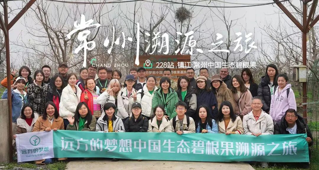 西津渡的浪漫，碧根果的家国情怀 - 第1张