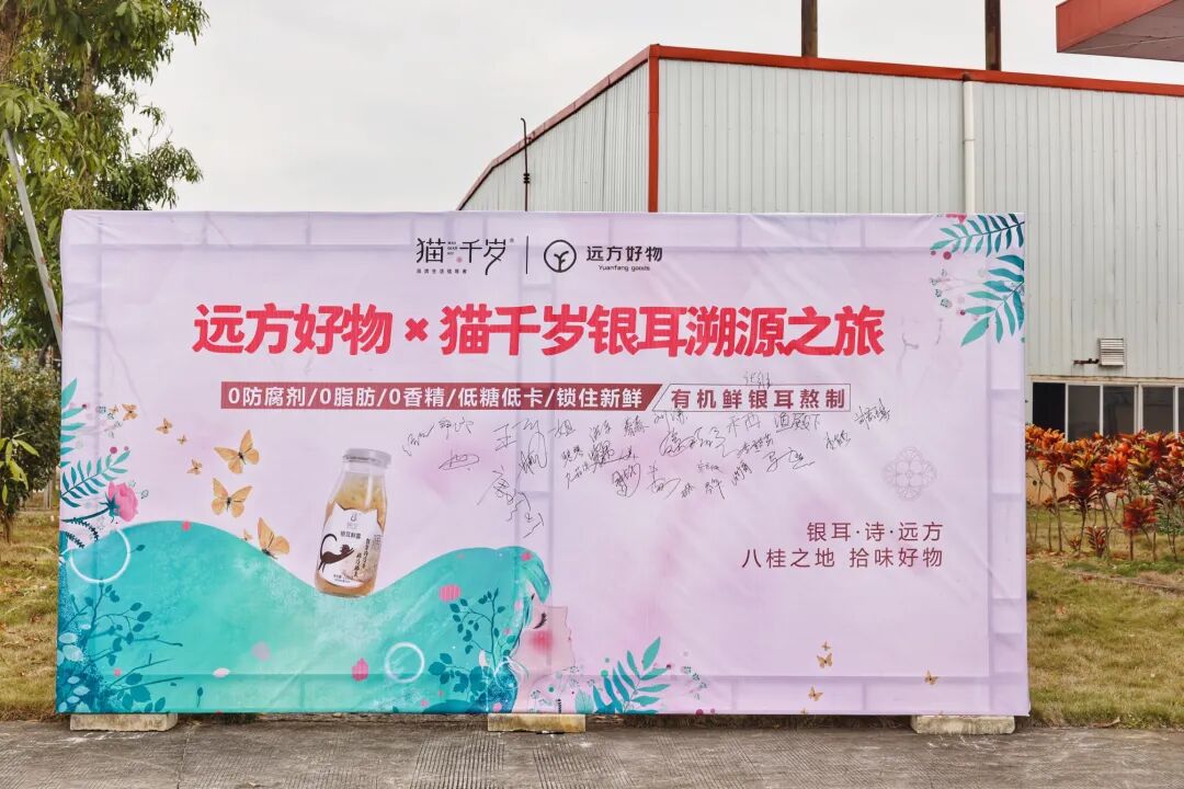缘起旅游群—林亚花 - 第1张
