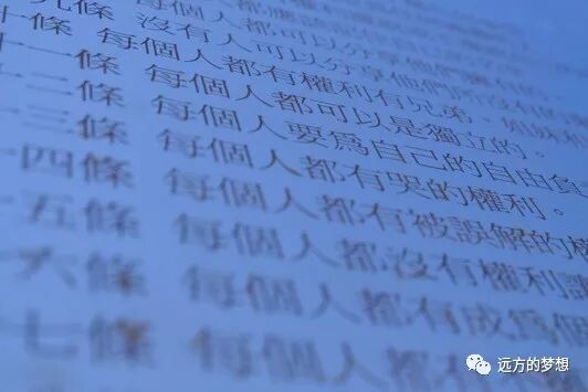 对岸共和国，拥有最有气质的的一部宪法 - 第11张