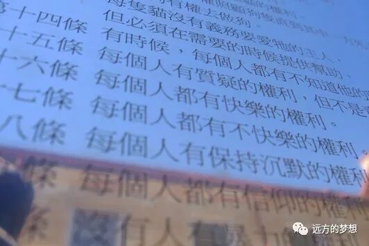 对岸共和国，拥有最有气质的的一部宪法 - 第12张