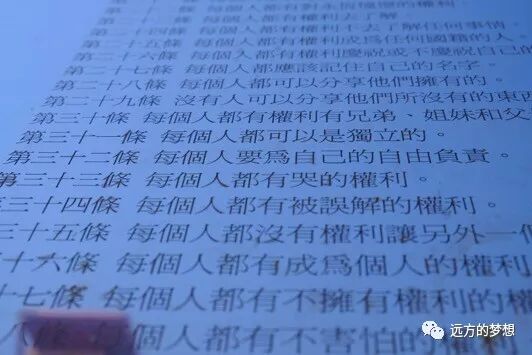 对岸共和国，拥有最有气质的的一部宪法 - 第13张